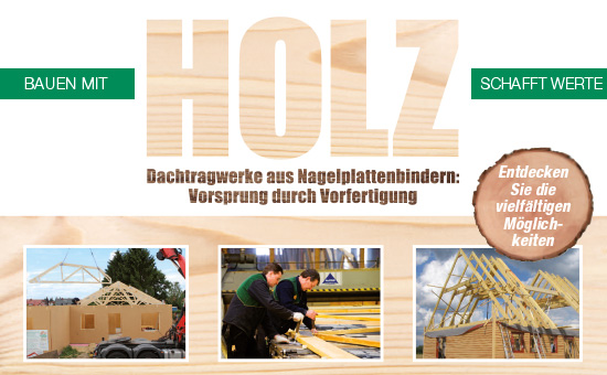 Flyer Dachtragwerke aus NP Bindern